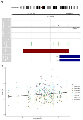 Figure 4. DMR associated with PCDD66 in male subsample. A) Differentially methylated region (DMR) in chromosome 6 associated with PCDD66 in male neonates. In green, the position of each assayed CpG in the DMR is shown with its -log10 transformed FDR above the FDR-corrected significance threshold (blue horizontal line). The light red marked CpG position also represents a significant DMP (cg02887499). The DMR´s location related to NCBI RefSeq gene annotation (GRCh37/hg19) shows two H2BC5 isoforms (NM_138720 & NM_021063). B) For purpose of illustration only, the beta values of the seven uncorrelated (all p > 0.05; additional file 1 ST18) CpGs located in the DMR in chromosome 6 are linearly regressed on PCDD66 in male subsample without confounder adjustment and robustness for outliers in a scatterplot.