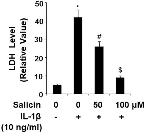 Figure 5. Salicin inhibits IL-1β-induced release of lactate dehydrogenase (LDH) in RECs. Cells were treated with IL-1β (10 ng/mL) in the absence or presence of salicin (50 and 100 μM) for 48 h. The release of LDH was determined using a commercial kit (*, #, $, p < .01 vs. previous column group, n = 6).