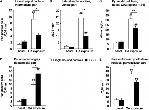 Figure 3 Effects of CSC housing in male mice on c-Fos expression under basal conditions and in response to OA exposure. Displayed are those five brain areas in which statistically significant differences after OA exposure were observed between the groups. Data represent means + SEM; ##p ≤ 0.01 vs. respective basal group; *p ≤ 0.05, **p ≤ 0.01 vs. respective SHC group.