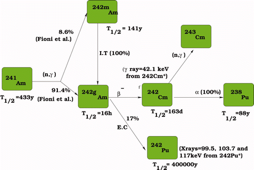 Figure 1. Decay path related to 241Am capture; E.C = electron capture, I.T = isomeric transition. The isomeric ratio values to 242g Am and 242m Am are indicative and are those measured by Fioni et al. [9].