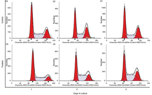 Fig. 4 Cell cycle distribution of RPE cells without PSPA treatment (control) for 1~3 days (a through c), and RPE cells cultured with 100 µg/ml PSPA (treated) for 1~3 days (d through f).