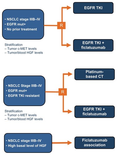 Figure 2 Future possible study designs for ficlatuzumab clinical development.