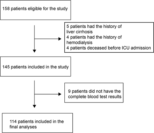 Figure 1 Patient recruitment flow chart.