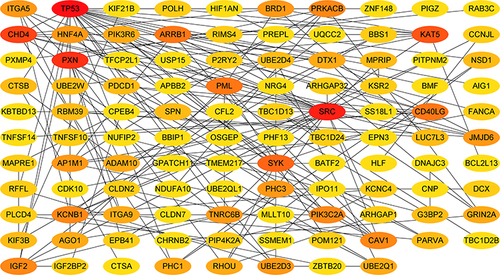 Figure 7 PPI interaction network established by the target genes. The grades of the colors represent the betweenness score. Lines indicate protein–protein interactions.