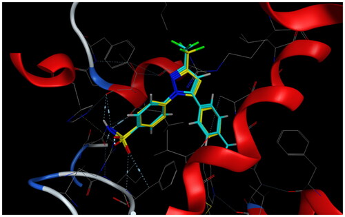 Figure 8. Overlay of celecoxib of crystallised (yellow) and docked (cyan) with RMSD = 0.422.