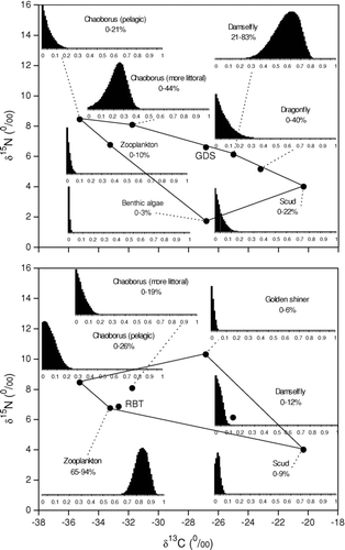 Figure 5 Mixing polygons for δ13C and δ15N signatures of principal prey organisms of golden shiner (GDS) and rainbow trout (RBT) sampled from Twin Lakes, WA. Consumer corrections were made assuming a trophic fractionation of 3–4‰ of δ15N from prey to predator. Histograms represent the range of possible contributions of prey organisms to the diet of the selected fish. Diet estimates and isotope signatures represent late spring to early summer feeding behavior. Estimated values are presented on a 1–99 percentile range. The range of diet contributions were estimated using the model IsoSource (CitationPhillips and Greggs 2003) (see text for details).