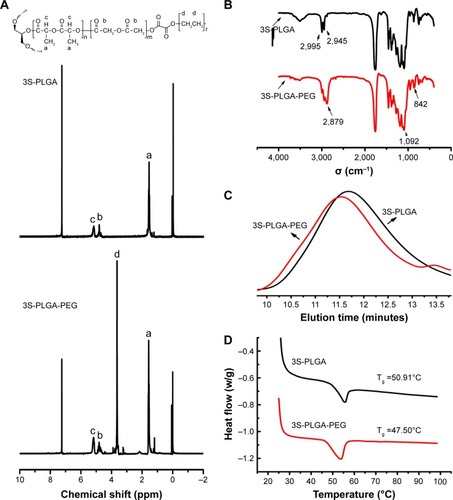 Figure 3 (A) The chemical structure of 3S-PLGA-PEG was investigated by 1H-NMR spectra. 3S-PLGA was mainly determined by the appearance of the peaks of a (δ=1.55 ppm, –CH3 in PLGA segments), b (δ=4.82 ppm, –CH2 in PLGA segments), and c (δ=5.12 ppm, –CH in PLGA segments). Compared with the 3S-PLGA spectrum, the high intensity of peak d (δ=3.62 ppm, –CH2 in PEG segments) in the 3S-PLGA-PEG spectrum indicated the existence of PEG, which proved that 3S-PLGA-PEG was successfully synthesized. (B) FT-IR spectrometry: the characteristic peak of 3S-PLGA at 1,750 cm−1 was attributable to the C=O functional group, while the peaks at 2,995 cm−1 and 2,945 cm−1 were due to the stretching vibration of a saturated –CH bond. In the spectrum of 3S-PLGA-PEG, the emerging peaks of 2,879 cm−1, 1,092 cm−1, and 842 cm−1 proved the existence of the PEG chain. (C) Molecular weights and polydispersity were investigated by GPC: the peak of 3S-PLGA-PEG appeared earlier than the peak of 3S-PLGA, which proved that PEG was favorably linked with 3S-PLGA. (D) The glass transition temperature (Tg) of 3S-PLGA was about 50.91°C, while 3S-PLGA-PEG was 47.5°C. The existence of PEG affected the crystalline property of PLGA, which reduced the Tg of this polymer.Abbreviations: 3S-PLGA, three-arm star block poly(lactic-co-glycolic acid); PEG, polyethylene glycol; NMR, nuclear magnetic resonance; FT-IR, Fourier-transform infrared; GPC, gel-permeation chromatography.
