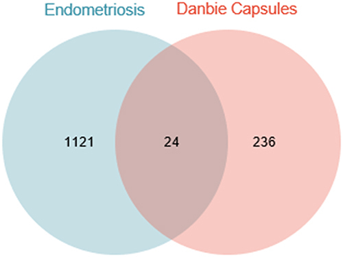 Figure 3 Venn diagram of targets of Danbie Capsules in endometriosis treatment.