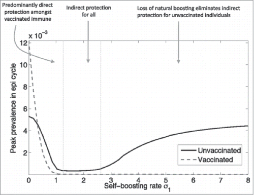 Figure 3. Complex relationship between pertussis vaccination and herd protection (used with permission from Arinaminpathy et al.)Citation55 Reprinted from PNAS USA, 109(49), Arinaminpathy N, Lavine JS, Grenfell BT., Self-boosting vaccines and their implications for herd immunity, pp. 20154–9, Copyright (2012), with permission from PNAS USA.