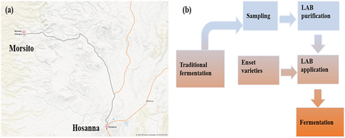 Figure 1. Geographical location of study site (a) and schematic representation of the study process flow diagram (b).
