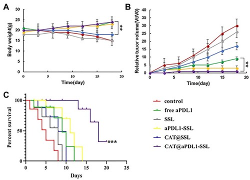Figure 8 Antitumor efficacy in vivo.Notes: (A) The body weights of B16-F10 tumor-bearing mice after injection with PBS, free aPDL1, SSLs, aPDL1-SSLs, CAT@SSLs, and CAT@aPDL1-SSLs. (B) The relative tumor volume of mice in each group. (C) Survival curves of mice after treatment with the formulations described above. (n = 6, results means ± S.D., **P < 0.01, ***P < 0.001)Abbreviations: aPDL1, programmed death ligand 1 monoclonal antibody; CAT, catalase; SSL, sterically stabilized liposome; aPDL1-SSLs, aPDL1 modified immunoliposomes; CAT@aPDL1-SSLs, CAT-loaded immunoliposomes.