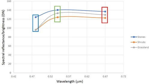 Figure 4. Spectral reflectance graph showing the different reflectance values for two types of vegetation and stone cover. The coloured boxes indicate the wavelengths of the red, green and blue bands used in the classification. Note the divergence in the spectral reflectance between vegetation and stone cover in the blue band.