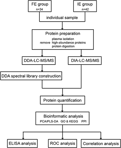 Figure 1 Workflow of the study. The study involved two groups (FE and IE) of COPD patients. An individual specimen was processed following a typical proteomics sample preparation protocol. The plasma protein expression profile of each sample was evaluated using LC-MS/MS based on DIA. Following bioinformatics analysis, correlation and ROC analyses were performed to investigate the clinical importance of DEPs. Candidate proteins were verified using ELISA.