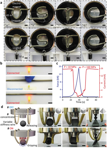 Figure 3. Examples of applications of the various stiffness wires. (a) Photographs of the shape maintaining ability of the LMMS wire under a magnetic field; (b) Photographs of on/off control of the circuit based on the variable stiffness wire; (c) Changes in the circuit current when pressure is applied on the wire. (d) Photographs of soft gripper based on various stiffness wires. Scale bars, 1 cm.