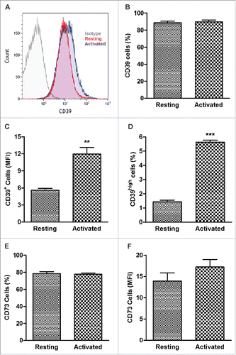 Figure 1. CD39 and CD73 expression in resting and activated human B cells. CD20+ B cells were tested by flow cytometry immediately after isolation from the peripheral blood or after 4 d of activation in the presence of IL-4 and CD40L. (A) Representative histograms illustrating upregulation of CD39 expression levels in activated B cells. Isotype control (left), resting B cells (center) and activated B cells (right). (B) Percentages of CD39+ B cells in resting and activated populations were comparable (NSD). CD39+ B cells accounted for > 90% of all cells. (C) Expression levels (Mean Fluorescence Intensity, MFI) of CD39 in resting and activated B-cells **p < 0.001. (D) Percentages of CD39high B cells in resting and activated populations. ***p < 0.0001. (E) Percentages of CD73+ B cells in resting and activated populations (NSD). (F) MFI of CD73 in resting and activated B cells. The data are mean values ± S.E.M. of five independent experiments, as determined by Student’s t-test.)