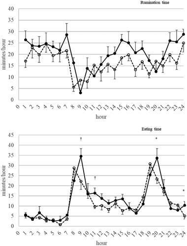 Figure 5. Mean ± SEM of rumination and eating time (min/h) in COOLED (dairy cows cooled with the use of a sprinkler system; solid line) and HEAT (dairy cows under heat stress; dotted line). A mixed model analysis for repeated measures showed that the treatment (COOLED, HEAT) × hour of the day interaction was not significant (p > .10) for rumination time, but significant (p < .01) for eating time. Pairwise comparisons between treatments within specific hour of the day were reported. Experiment 2. † = p < .10; * = p < .05.