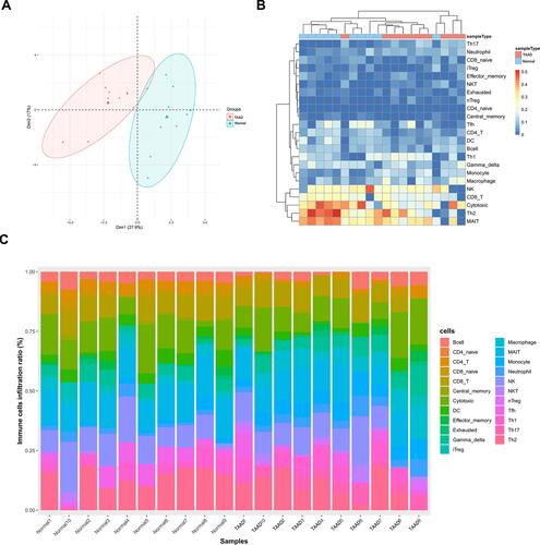 Figure 1 (A) The composition of 24 subpopulations of immune cells in the chip. (B) Heat map of 24 subpopulations of immune cells in the sample. (C) Principal component analysis distribution of normal aortic samples and TAAD samples.