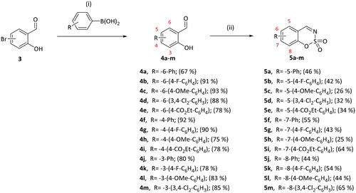 Scheme 2. Reagents and conditions: (i) K2CO3, Pd(PPh3)4, toluene/H2O (5:1), 90 °C, 24–48 h; (ii) ClSO2NH2, DMA, RT, 24–48 h.