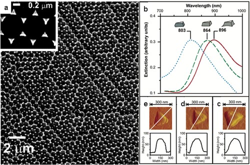 Figure 9. Ag NPs on ITO produced by Zhang et al. using NSL. (a) SEM images of Ag NP array produced using nanospheres with a 590-nm diameter. (b) The LSPR λmax of the Ag NPs shift towards shorter wavelengths after applying a potential step. Atomic force microscope images of a NP (c) before any EC measurements, (d) after one cycle and (e) after two cycles. Adapted from Ref. [Citation98] with permission. Copyright 2005 American Chemical Society.