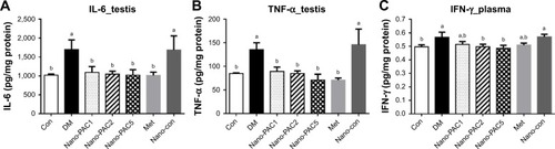 Figure 6 Testis (A) IL-6 and (B) TNF-α and (C) plasma IFN-γ production in STZ-induced diabetic rats fed different doses of Nano-PAC after 42 days.Notes: Data are shown as mean±SD (n=6 rats/group). The bars with different letters (a and b) represent significant (P<0.05) difference as analyzed by the Duncan’s multiple range test.Abbreviations: STZ, streptozotocin; Nano-PAC, PAC encapsulated in silica–chitosan nanoparticles; Con, control; DM, diabetes mellitus; Nano-PAC1, diabetes+4 mg/kg per day Nano-PAC; Nano-PAC2, diabetes+8 mg/kg per day Nano-PAC; Nano-PAC5, diabetes+20 mg/kg per day Nano-PAC; Met, diabetes+300 mg/kg per day metformin; Nano-con, diabetes+20 mg/kg per day silica–chitosan nanoparticles; PAC, petri dish-cultured Antrodia cinnamomea.