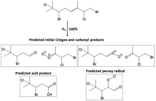 Scheme 2. Predicted major Criegee and carbonyl products, acid product and peroxy radical formed from reaction of atmospheric O3 at the Δ5 olefin in 11.