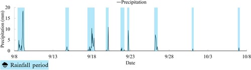 Fig. 8: Gifu city precipitation for the same period according to the Japan Meteorological Agency