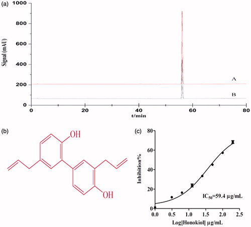 Figure 3. PPL inhibitory activity of honokiol. (a) Chromatograms of (A) reference substance honokiol, (B) sub-fraction MO-19 at 230 nm. (b) The structure of honokiol. (c) Concentration dependent inhibition of PPL by honokiol. The inhibition rate was plotted against the log of the cumulative doses of honokiol (Mean ± SD, n = 3).