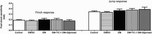 Figure 2. Footshock sensitivity scores separately for Control, DMSO, Diabetes, Diabetes + YC-1 and Diabetes + Zaprinast groups (n = 9 in each group). Each value represents the mean ± S.E.M. There were no significant differences between the groups.