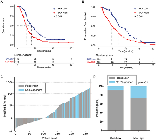 Figure 3 Survival analysis and chemotherapeutic response. (A) Patients with a low SAA had a significantly longer median OS than those with a high SAA (15.7 months vs 10.0 months, p < 0.001). (B) Patients with a low SAA had a significantly longer median PFS than those with a high SAA (7.6 months vs 4.8 months, p < 0.001). (C) Chemotherapeutic response waterfall plot analysis. Low SAA group (n = 105, Responder = 96, No Responder = 9), High SAA group (n = 163, Responder = 119, No Responder = 44). (D) The proportion of patients with a low SAA level responding to chemotherapy was significantly higher than that of patients with a high SAA level (91.4% vs 73.0%, p = 0.001).