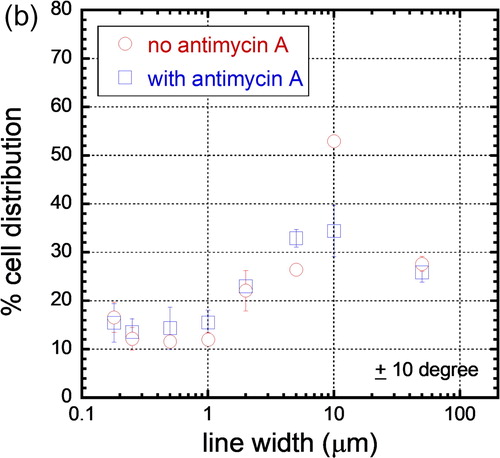 Figure 7(b). Population of cells that is aligned within ± 10° of the line axes of various line widths. Cells adhered to the 10 μm wide lines have the tightest alignment performance.