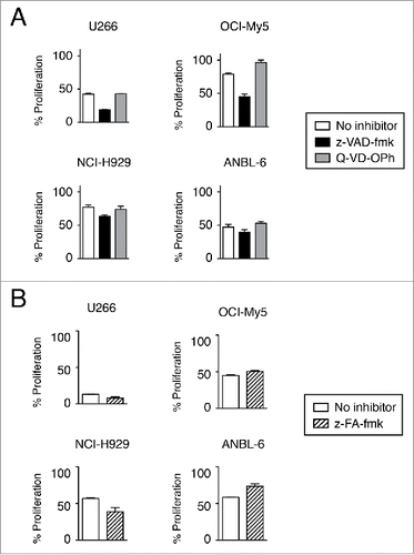 Figure 4. Induction of cell death is not prevented by caspase inhibition. Cells were treated with anti-CD138-IFNα14 and bortezomib in the presence or absence of pan-caspase inhibitors for 3 days. U266 and OCI-My5 were treated with 3 pM anti-CD138-IFNα14 and 1.5 nM bortezomib. NCI-H929 and ANBL-6 were treated with 5 pM anti-CD138-IFNα14 and 4 nM bortezomib. Cells were assessed for changes in metabolic activity by MTS. Assays were done in triplicate with the error bars indicating the SEM. In some cases, the error bars cannot be seen because they are obscured by the plot. Percent proliferation was calculated relative to cells grown in the absence of treatment. (A) 50 μM z-VAD-fmk or 20 μM Q-VD-OPh. (B) 20 μM z-FA-fmk.