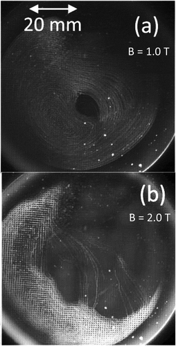 Figure 17. Observation of imposed ordered structures in MDPX taken from Figure 2 of ref [Citation182]. for (a) B = 1.0 T, and (b) B = 2.0 T. When the magnetic field was increased above a critical value, the charged dust particles became spontaneously arranged in a grid-like pattern that mimicked the grid in the upper electrode. The imposed ordered structures were formed at sufficiently low neutral pressures so that the electrons and ions were well-magnetized