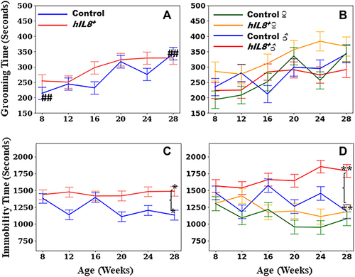 Figure 6 Time spent grooming and immobile. (A and B) Comparison of time spent on grooming between hIL8+ and control mice, and hIL8+ and control mice of different sexes; (C and D) comparison of time spent immobile between the 2 mouse types, and mice of different sexes. Values: mean ± 95% confidence intervals; ##: p <0.01 when comparing values within the same cohort over age; **or *: p <0.01 or p <0.05, respectively, when comparing values between different cohorts at a single age.