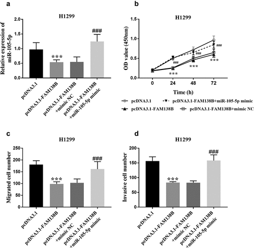 Figure 4. Rescue experiments confirmed that FAM138B targets miR-105-5p. (a) pcDNA3.1-FAM138B+miR-105-5p mimic increased the relative expression of miR-105-5p. (b)-(d) pcDNA3.1-FAM138B+miR-105-5p mimic reversed the effects of overexpression FAM138B-mediated inhibition on the proliferation, migration and invasion progression of H1299 cells. ***P <0.001, ###P <0.001. Data were analyzed by one-way ANOVA.
