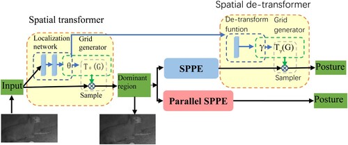 Figure 6. The illustration of SSTN and parallel SEEP model training strategy.