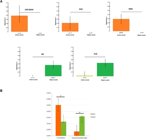 Figure 6. (A) Category-specific results for object- and action-related concepts from model comparisons. The bar graphs depict the averaged correlations between the 48 × 48 brain activity RDMs in specific cortical areas and the model RDMs based on action-related semantic properties (top panels) and visual properties (bottom panel) for the sub-spaces of action (orange) and object (green) words. Significant differences are indicated by the horizontal bars in black after FDR correction across models (FDR = 0.05). Top panel: in LIFG (BA 44), PCG and SMG, the model based on action-related semantic properties was correlated more strongly with the similarity patterns specific to action words as compared to the ones specific to object words. Bottom panel: in the FuG and AG, the opposite was found, i.e. greater correlations between the similarity structure based on the visual properties and the similarity structure of the brain activity patterns for object words than for action words. (B) Results from statistical analyses showing differential mapping of lexicosemantic categories obtained (ANOVA design: Word Category (action verbs vs. object nouns)×Region (frontal vs. temporo-occipital regions of interest)), with a significant cross-over interaction between the factors Region and Word Category (F [1, 22] = 7.45, p = 0.01). This effect obtained by employing the integrated semantic vector model revealed a double dissociation in the semantic similarity mappings of action and object words onto focal category-preferential (BA 44, PCG) and category general (SMA, AG, FUG) regions. A comparable interaction effect was also found when the experiential model alone was applied (F [1, 22] = 7.85, p = 0.012). The distributional model did not reveal any semantic mapping differences across word categories.
