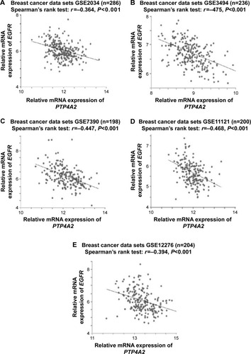 Figure 7 The correlations between PTP4A2 expression and EGFR expression.