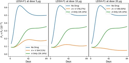 Figure 9. Standard protocol treatment of leishmaniasis with MA and vaccine LEISH-F1+MPL-SE. The vaccine is given at Days 0 and 28 and 56, and the chemotherapy is administered at Days 0–20, daily. The numbers in parentheses are the recovery rates at Day 84.