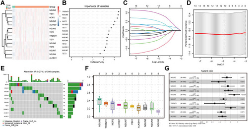 Figure 1 The expression, genetic variation and prognostic value of m5C regulators in colon cancer. (A) the transcription levels of 14 m5C RNA methylation regulators; (B) the importance of each gene calculated by the random forest algorithm; (C) LASSO regression analysis of the 13 m5C RNA methylation regulators; (D) Tenfold cross-validation for tuning the parameter selection in the LASSO regression. The dotted vertical lines represent the optimal values of the tuning parameter (λ) by minimum criteria; the mutations (E) and variant allele frequency (F) of the 10 m5C RNA methylation regulators in colon cancer samples; (G) Cox regression multivariate analysis was used to comprehensively analyze the prognostic value among 10 m5C RNA methylation regulators.