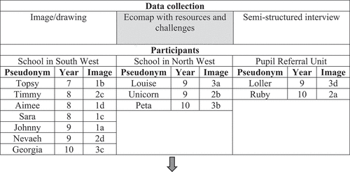 Figure 1. Data collection and participants.