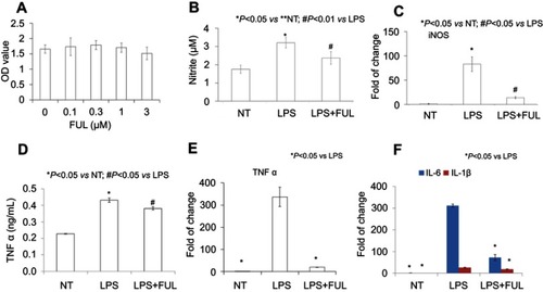 Figure 1 Fullerol could reduce TNF-α, IL-1β, IL-6 and iNOS expression and nitrite production in primary mouse peritoneal macrophages.Notes: Fullerol was not toxic at doses of up to 3 µM (A, WST-1 assay). Fullerol suppressed LPS-induced nitrite production (B, Griess reagent test) and iNOS gene expression (C, quantitative RT-PCR analysis). It also reversed LPS-stimulated production of TNF-α (D, ELISA assay; E, quantitative RT-PCR analysis) and expression of inflammatory cytokines IL-1β and IL-6 (F, quantitative RT-PCR analysis). LPS: LPS (100 ng/mL) treatment; LPS + FUL: treatment of LPS (100 ng/mL) combined with fullerol (1 µM).Abbreviations: FUL, fullerol; NT, no treatment; iNOS, induced nitric oxide synthase; LPS, lipopolysaccharide; TNF, tumor necrosis factor.