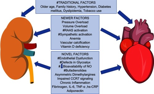 Figure 1 Pathophysiological mechanisms involved in the development of cardiovascular disease in CKD. Factors that have bidirectional action and may affect both kidney and cardiac function are labeled with #.Abbreviations: CCR7, chemokine receptor 7; CKD, Chronic Kidney Disease.
