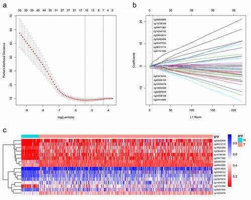 Figure 2. A CpG sites were selected in LASSO analysis.B LASSO coefficient profiles of the CpG sites.C Hierarchical clustering by differential levels in methylated CpG sites