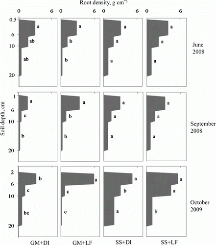 Figure 2.  Root density at different soil depths on velvet bentgrass green with root zone compositions straight sand (SS) or ‘Green Mix’ (GM) and irrigation regime light and frequent (LF) or deep and infrequent (DI), measured by the end of dry period in 2008 and the end of both experimental years. Mean values followed by the same letter within the same depth and measured at the same time are not significantly different based on Fisher's protected least significant difference (LSD) test (α = 0.05).