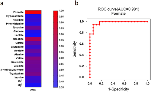 Figure 4 The heat map showed diagnostic ability of each metabolite with AUC values (a). The different colors were corresponding to different AUC values in the right palette. Formate showed the highest AUC value in all the metabolites for the diagnosis of DPN (b).