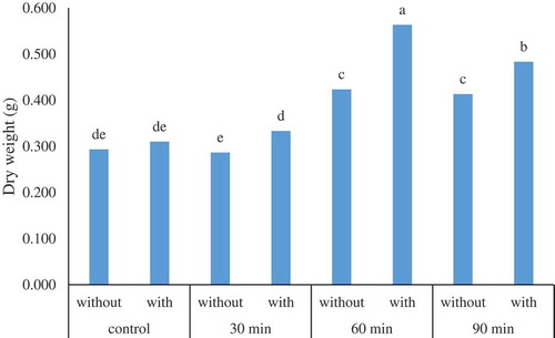 Figure 2. The interaction effect of UV-B radiation * recovery on the dry weight (g) in adventitious root culture of H. perforatum. Control, 30 min, 60 min, and 90 min denote the UV-B radiation exposure times while without and with state the use of recovery, respectively. Values followed by the same letter(s) are not significantly different (LSD, 0.05).