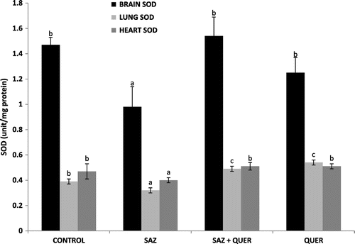 Figure 5. Effects of quercetin on brain, lung, and heart SOD activities in NaN3-treated rats.