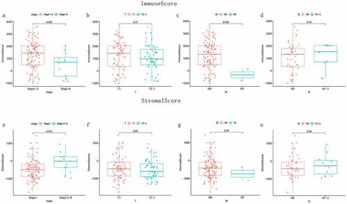 Figure 3. Correlation of ImmuneScore and StromalScore with clinical stage of the tumor. (a-d) Correlation between ImmuneScore and clinical stage of tumor. (e-h) Correlation between ImmuneScore and clinical stage of tumor. (i-l) Correlation between ESTIMATEScore and clinical stage of tumor