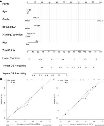 Figure 9 Construction and evaluation of the nomogram for predicting overall survival of patients with gliomas. (A) A nomogram integrating the signature risk score and the clinicopathologic characteristics in the training cohort. The line determines the “point” received for the value of each variable. The sum of these numbers is presented as “total points”, while the line drawn down to the survival axis determines the likelihood of different survival rate. (B) The calibration curve for the nomogram in the training set based on data from TCGA database. (C) The calibration curve for the nomogram in the validation set based on data from CGGA database.