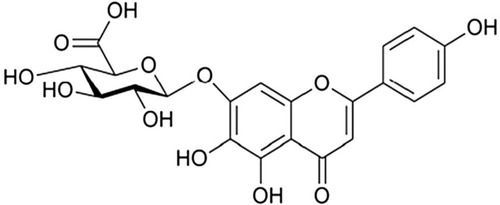 Figure 1 The structure of Breviscapine.